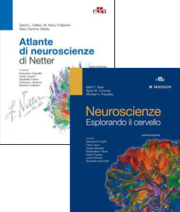 Neuroscienze. Esplorando il cervello + Atlante di neuroscienze di Netter di Mark F. Bear, David L. Felten edito da Elsevier