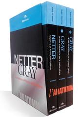 Netter Gray l'anatomia. La chiarezza e il fascino dell'anatomia di Frank H. Netter, Susan Standring edito da Edra Masson