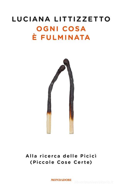 Ogni cosa è fulminata. Alla ricerca delle Picicì (Piccole Cose Certe) di Luciana Littizzetto edito da Mondadori
