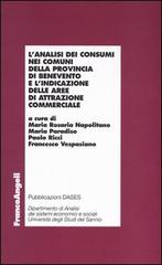 L' analisi dei consumi nei comuni della provincia di Benevento e l'indicazione delle aree di attrazione commerciale edito da Franco Angeli