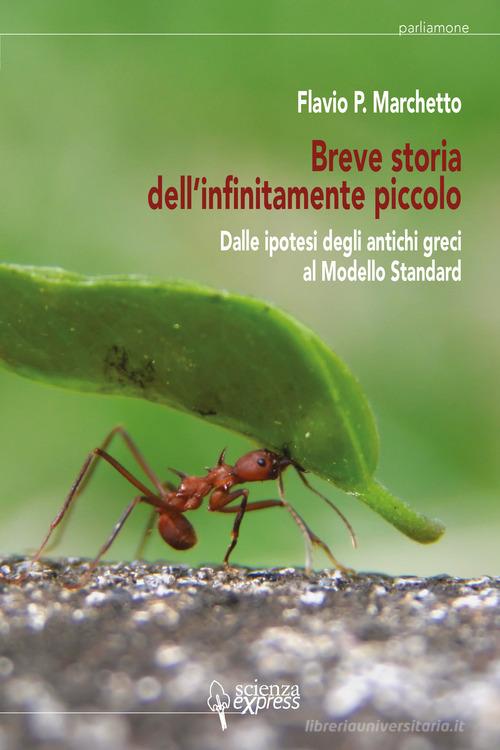 Breve storia dell'infinitamente piccolo vol. 1 di Flavio P. Marchetto edito da Scienza Express