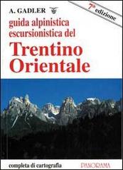 Guida alpinistica escursionistica del Trentino orientale di Achille Gadler edito da Panorama