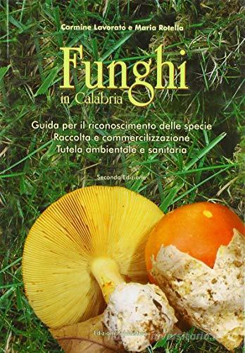 Funghi in Calabria. Guida per il riconoscimento delle specie, raccolta e commercializzazione, tutela ambientale e sanitaria di Carmine Lavorato, Maria Rotella edito da Pubblisfera