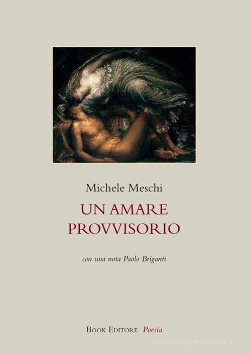 Un amare provvisorio di Michele Meschi edito da Book Editore
