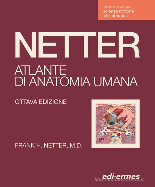 Netter. Atlante anatomia umana. Scienze motorie e fisioterapia di Frank H. Netter edito da Edi. Ermes