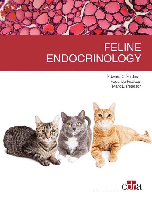 Feline endocrinology di Edward C. Feldman, Federico Fracassi, Mark E. Peterson edito da Edra