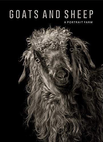 Goats and sheep. Ediz. illustrata di Kevin Horan, Elena Passarello edito da 5 Continents Editions