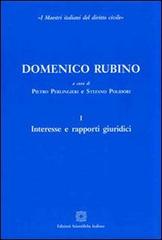 Domenico Rubino edito da Edizioni Scientifiche Italiane