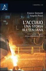 L' acciaio: una storia all'italiana. Agonia e morte della siderurgia di Stato di Francesco Gottardi, Angelo Pozzi edito da Aracne