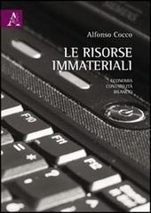 Le risorse immateriali. Economia, contabilità, bilancio di Alfonso Cocco edito da Aracne