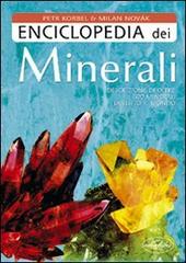 Enciclopedia dei minerali di Petr Korbel, Milan Novák edito da Idea Libri