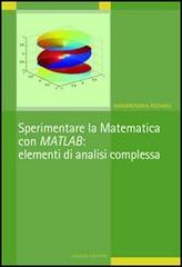 Sperimentare la matematica con MATLAB: elementi di analisi complessa di Mariarosaria Rizzardi edito da Liguori