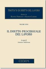 Trattato di diritto del lavoro vol.9 edito da CEDAM