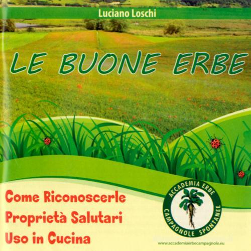 Le buone erbe. Come riconoscerle. Proprietà salutari. Uso in cucina di Luiciano Loschi edito da Il Formichiere