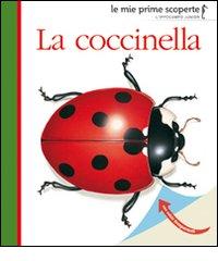 La coccinella. Ediz. illustrata edito da L'Ippocampo Ragazzi
