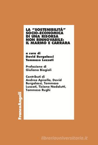 La «sostenibilità» socio-economica di una risorsa non rinnovabile: il marmo e Carrara edito da Franco Angeli