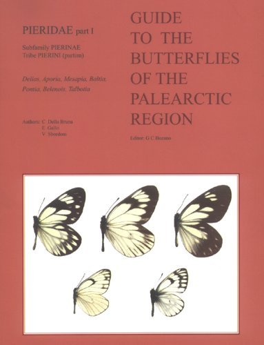 Guide to the butterflies of the palearctic region vol.1 edito da Omnes Artes