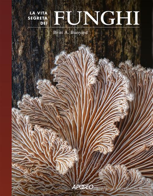 La vita segreta dei funghi di Britt A. Bunyard edito da Apogeo