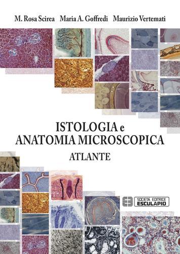 Istologia e anatomia microscopica. Atlante di Maurizio Vertemati, M. Rosa Scirea, Maria Albina Goffredi edito da Esculapio