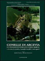 Conelle di Arcevia. Un insediamento neolitico nelle Marche di Alberto Cazzella, Maurizio Moscoloni edito da Gangemi Editore
