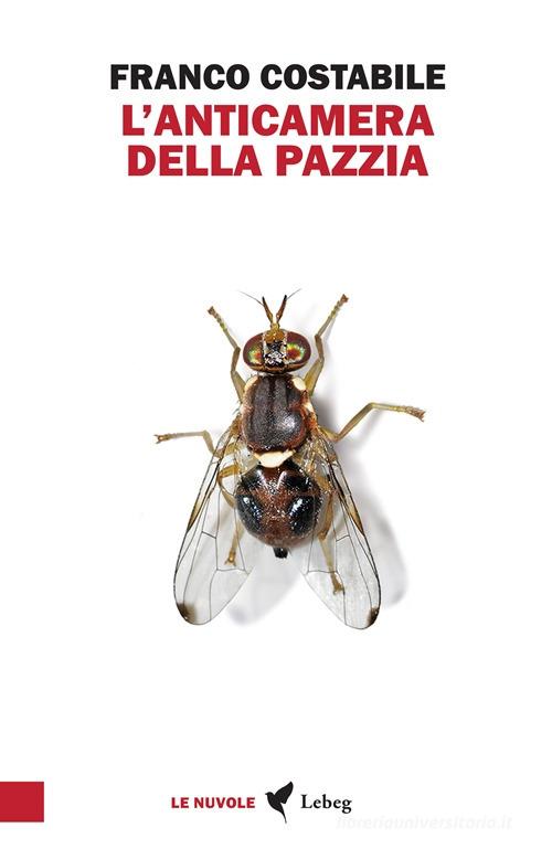 L'anticamera della pazzia. Inchieste e articoli pubblicati nel 1962 sul quotidiano «Il Paese» di Franco Costabile edito da Lebeg