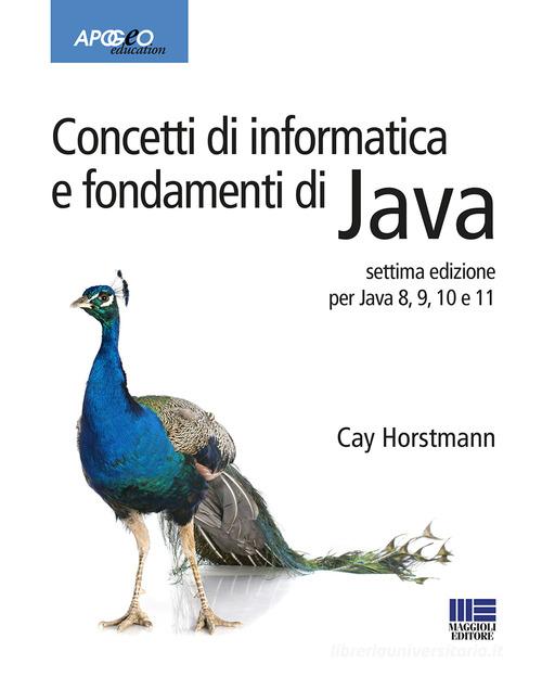 Concetti di informatica e fondamenti di Java. Per Java 8, 9, 10 e 11 di Cay S. Horstmann edito da Maggioli Editore