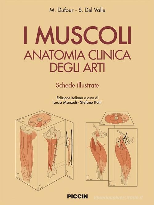 I muscoli. Anatomia clinica degli arti. Shede illustrate di M. Dufour, S. Del Valle edito da Piccin-Nuova Libraria