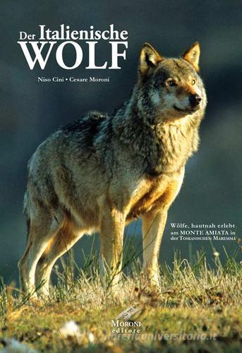 Der Italianische Wolf. Gelebte alltagsleben der apenninischen Wölfe am Monte Amiata in der Toskanischen Maremma di Niso Cini, Cesare Moroni edito da Moroni