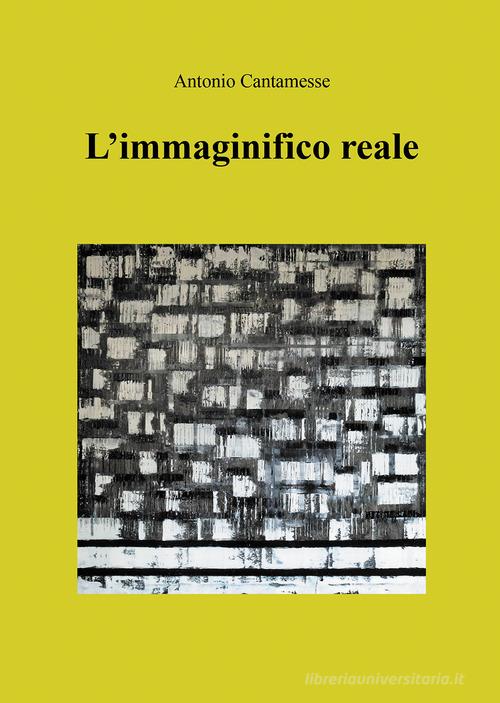 L'immaginifico reale di Antonio Cantamesse edito da Passione Scrittore selfpublishing