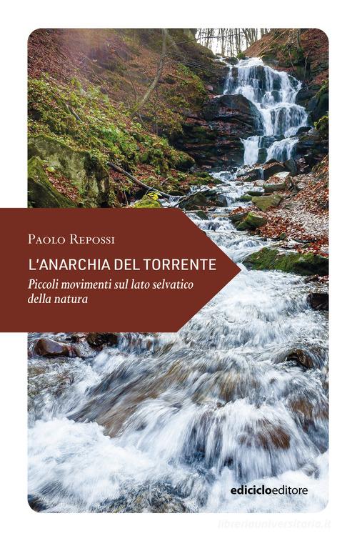 L'anarchia del torrente. Piccoli movimenti sul lato di Paolo Repossi edito da Ediciclo