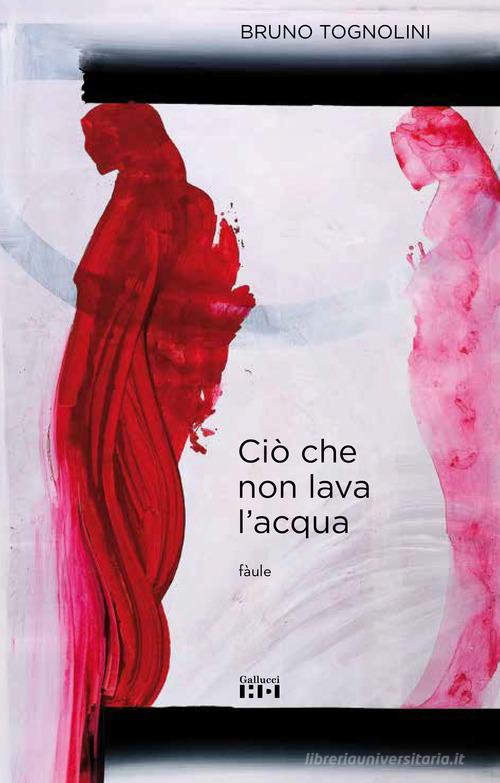 Ciò che non lava l'acqua. Ediz. illustrata di Bruno Tognolini edito da Gallucci