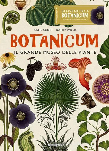 Botanicum. Il grande museo delle piante. Ediz. a colori di Katie Scott, Kathy Willis edito da Mondadori Electa