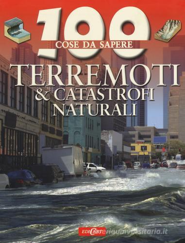 Terremoti & catastrofi naturali di Anna Claybourne edito da Edicart