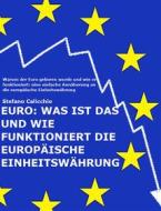 Ebook EURO: Was ist das und wie funktioniert die europäische Einheitswährung di Stefano Calicchio edito da Stefano Calicchio