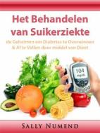 Ebook Het Behandelen Van Suikerziekte di Sally Numend edito da HIDDENSTUFF ENTERTAINMENT