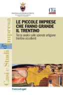 Ebook Le piccole imprese che fanno grande il Trentino. Terza analisi sulle aziende artigiane trentine eccellenti di AA. VV. edito da Franco Angeli Edizioni