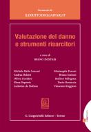 Ebook Valutazione del danno e strumenti risarcitori di Michela Bailo Leucari, Andrea Belotti, Elena Depetris edito da Giappichelli Editore