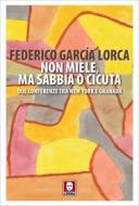 Ebook Non miele, ma sabbia o cicuta di Federico García Lorca edito da Lindau