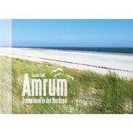 Ebook Amrum - Trauminsel in der Nordsee di Sascha Stoll edito da Books on Demand