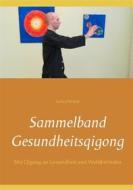 Ebook Sammelband Gesundheitsqigong di Stefan Wahle edito da Books on Demand