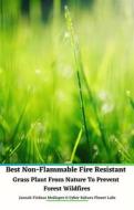Ebook Best Non-Flammable Fire Resistant Grass Plant From Nature to Prevent Forest Wildfires di Jannah Firdaus Mediapro, Cyber Sakura Flower Labs edito da Jannah Firdaus Mediapro Studio
