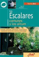 Ebook Los escalares comunes y los altum di Marco Salvadori edito da De Vecchi Ediciones