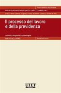 Ebook Il processo del lavoro e della previdenza di Domenico Borghesi e Luigi De Angelis edito da Utet Giuridica