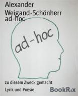 Ebook ad-hoc di Alexander Weigand-Schönherr edito da BookRix