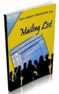 Ebook Come costruire velocemente una Mailing List di Pasquale Miele edito da Blu Editore