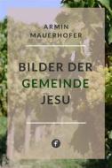 Ebook Bilder der Gemeinde Jesu di Armin Mauerhofer edito da Folgen Verlag