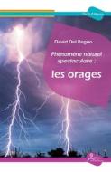Ebook Phénomène naturel spectaculaire : les orages di David Del Regno edito da La Vallée Heureuse