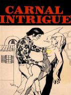 Ebook Carnal Intrigue (Vintage Erotic Novel) di Anju Quewea edito da Tera Bing