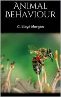 Ebook Animal Behaviour di C. Lloyd Morgan edito da PubMe