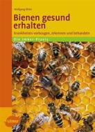 Ebook Bienen gesund erhalten di Dr. Wolfgang Ritter edito da Verlag Eugen Ulmer